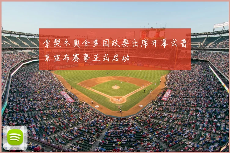 索契冬奥会多国政要出席开幕式普京宣布赛事正式启动